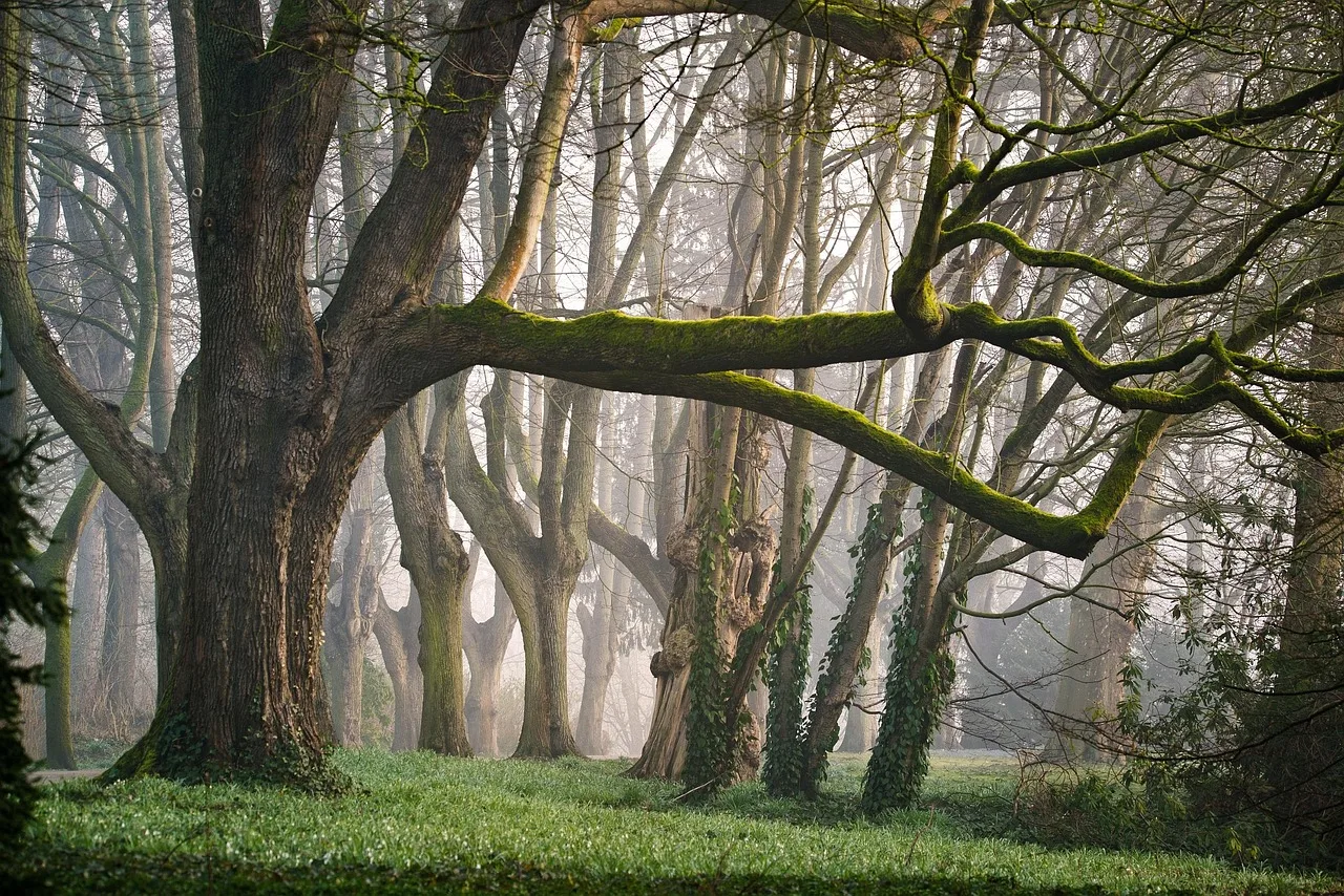 Sprookjesbos Valkenburg