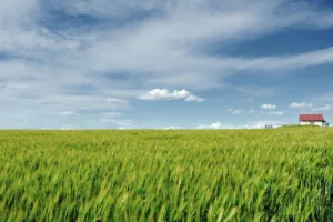 aanplantregeling CNME Meerssen