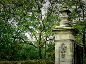 instorting Wilhelminatoren