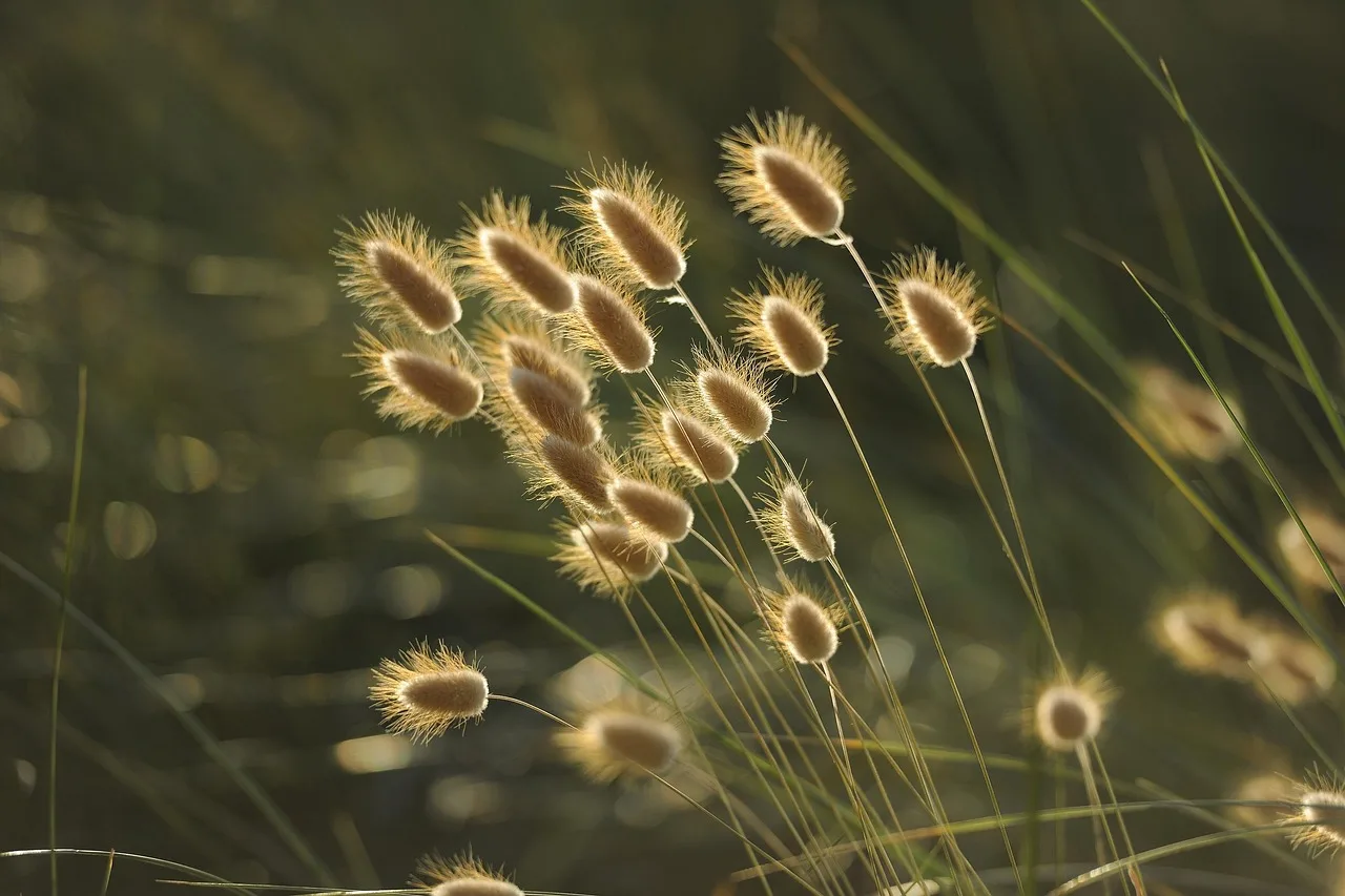 nieuwe natuur Geuldal en Kunderberg